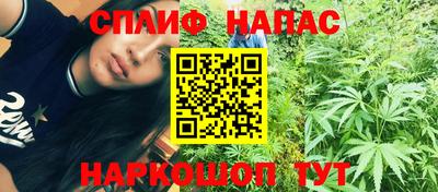 прущие грибы Пушкино