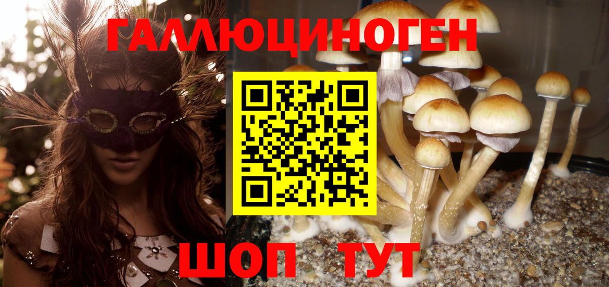 Псилоцибиновые грибы GOLDEN TEACHER Наро-Фоминск