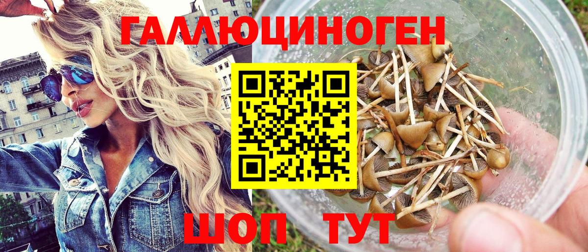 Псилоцибиновые грибы мицелий  Вход с VPN  где найти   Наро-Фоминск 